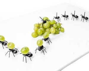 Lauakaunistus Sipelgad, 12 tk hind ja info | Ühekordsed nõud | kaup24.ee