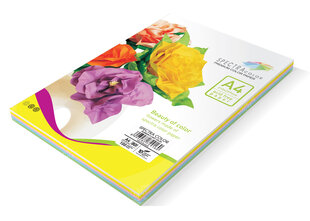Värviline paber Spectra Color IT855 Rainbow A4 80gsm 10 sp. 100 lehte hind ja info | Vihikud, märkmikud ja paberikaubad | kaup24.ee