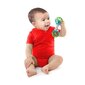 Oball Shaker Rattle, 0m+ hind ja info | Imikute mänguasjad | kaup24.ee