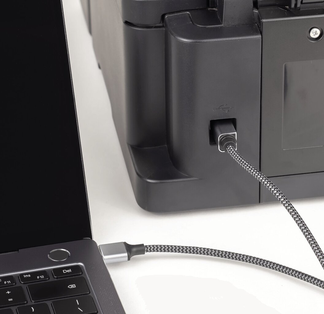 Reagle USB A-B 5m USB-B printer-skänneri kaabel hind ja info | Kaablid ja juhtmed | kaup24.ee