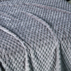 Мягкое одеяло из микрофибры, серебристое цена и информация | Одеяла | kaup24.ee