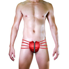 Seksikad meeste stringid, punane цена и информация | Сексуальное бельё для мужчин | kaup24.ee