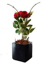 Kunstlik roos Rosalia, 35cm hind ja info | Kunstlilled | kaup24.ee