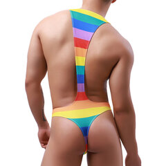 Сексуальный мужской купальник Rainbow цена и информация | Сексуальное бельё для мужчин | kaup24.ee