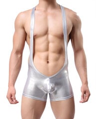 Сексуальный мужской купальник, серебряный цена и информация | Сексуальное бельё для мужчин | kaup24.ee