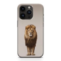 Alerio Print iPhone 11 цена и информация | Чехлы для телефонов | kaup24.ee