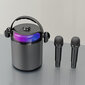 KITE traadita bluetooth kaasaskantav topeltmikrofoniga karaoke koos kõlariga (must) цена и информация | Mikrofonid | kaup24.ee