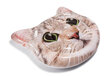 Täispuhutav voodi/parv Intex Cat Face hind ja info | Täispuhutavad veemänguasjad ja ujumistarbed | kaup24.ee