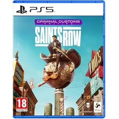 Saints Row Criminal Customs Edition Xbox One игра цена и информация | Deep Silver Компьютерная техника | kaup24.ee