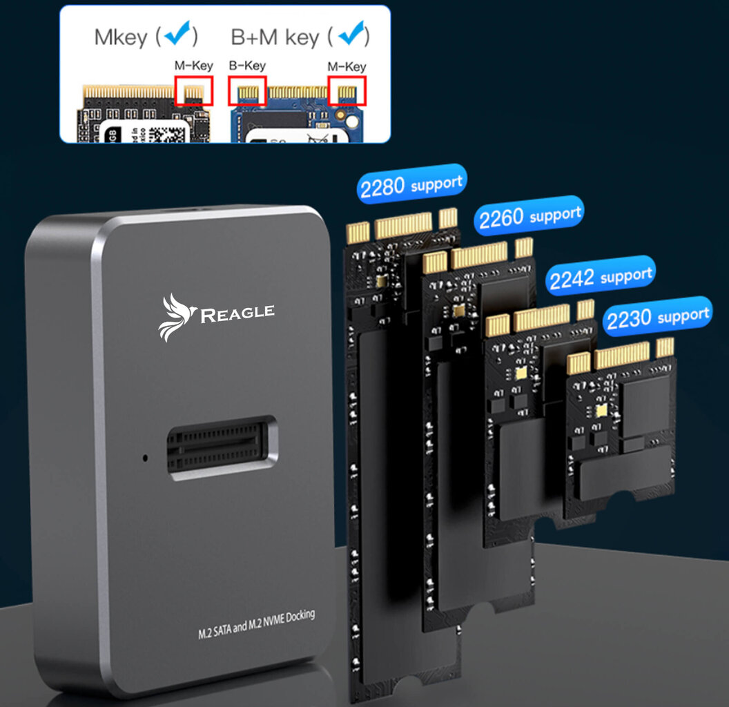 Reagle RY6M2 hind ja info | USB jagajad, adapterid | kaup24.ee