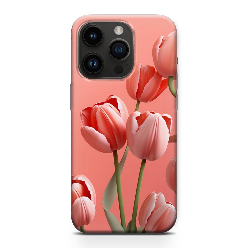 Alerio Print iPhone XR цена и информация | Telefoni kaaned, ümbrised | kaup24.ee