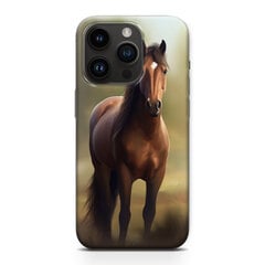 iPhone SE  защитный чехол цена и информация | Чехлы для телефонов | kaup24.ee