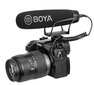 Boya BY-BM2021 цена и информация | Videokaamerate lisatarvikud | kaup24.ee