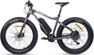 Elektriline jalgratas GZR Rough-e Fatbike 17", hall hind ja info | Elektrirattad | kaup24.ee