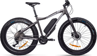 Электровелосипед GZR Rough-e Fatbike 17", серый цвет цена и информация | Электровелосипеды | kaup24.ee