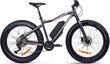 Elektriline jalgratas GZR Rough-e Fatbike 17", hall hind ja info | Elektrirattad | kaup24.ee