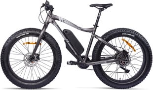 Электровелосипед GZR Rough-e Fatbike 19", серый цвет цена и информация | Электровелосипеды | kaup24.ee
