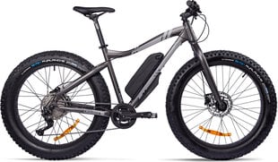 Электровелосипед GZR Rough-e Fatbike 19", серый цвет цена и информация | Электровелосипеды | kaup24.ee