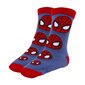 Sokid Spiderman, 3 paari hind ja info | Poiste sukkpüksid ja sokid | kaup24.ee