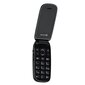 Evelatus Wave Dual SIM Black цена и информация | Telefonid | kaup24.ee