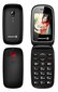 Mobiiltelefon Evelatus Wave, Dual SIM, Must hind ja info | Telefonid | kaup24.ee