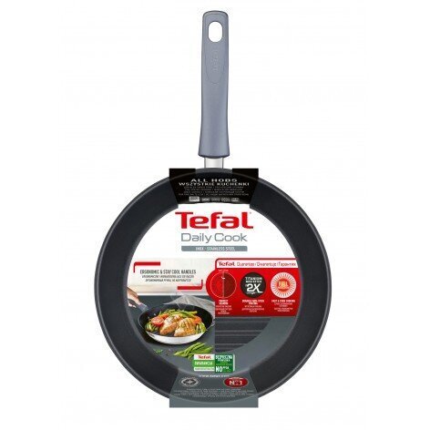 Tefal Daily Cook G7314055 pann цена и информация | Pannid | kaup24.ee