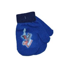 Детские варежки 180169 02 180169*02-ONE, синие/тёмно-синие цена и информация | Шапки, перчатки, шарфы для мальчиков | kaup24.ee