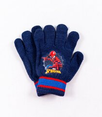 Детские перчатки Spiderman 1802281 01 1802281*01-ONE, тёмно-синие /синие цена и информация | Шапки, перчатки, шарфы для мальчиков | kaup24.ee