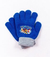 Детские перчатки Paw Patrol 180172 02 180172*02-ONE, синие/серые цена и информация | Шапки, перчатки, шарфы для мальчиков | kaup24.ee