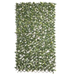 Целозия Natural Laurel плетеный Бамбук 2 x 200 x 100 cm цена и информация | Искусственные цветы | kaup24.ee