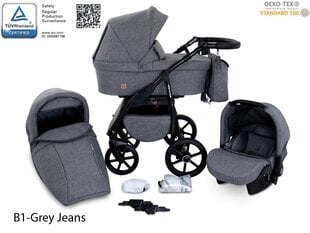 Universaalne jalutuskäru 3 in 1 Boston Travel System, hall цена и информация | Коляски | kaup24.ee