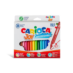 Viltpliiatsid Joy Carioca, 36tk цена и информация | Принадлежности для рисования, лепки | kaup24.ee