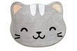 Laste vaip Kitty hall 40x60cm hind ja info | Vaibad | kaup24.ee