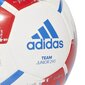 Jalgpalli pall Adidas Team J290 цена и информация | Jalgpalli pallid | kaup24.ee