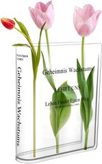 Прозрачная ваза для цветов в форме книги Dingfeiyu цена и информация | Vaasid | kaup24.ee