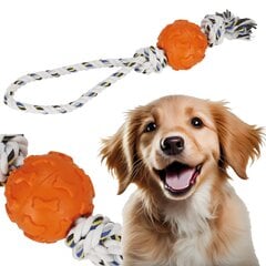 Игрушка для жевания для собак Springos PA1053 цена и информация | Игрушки для собак | kaup24.ee