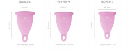 Menstruaalanum Perfect Cup, 3 tk цена и информация | Tampoonid, hügieenisidemed, menstruaalanumad | kaup24.ee