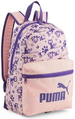 Рюкзак Puma Phase Small 079879 06, розовый цена и информация | Рюкзаки и сумки | kaup24.ee