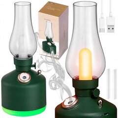 Увлажнитель воздуха со светодиодным ночником, зеленый цена и информация | Увлажнители воздуха | kaup24.ee