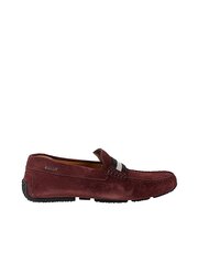 Bally Мокасины Pearce - 6234459 | Pearce - Бордовый 6234459 | Pearce цена и информация | Мужские ботинки | kaup24.ee