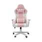 White Shark Roxy Gaming Chair Pink цена и информация | Kontoritoolid | kaup24.ee