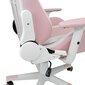 White Shark Roxy Gaming Chair Pink цена и информация | Kontoritoolid | kaup24.ee