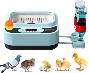 Инкубатор для яиц Ouyolad с автоматическим контролем температуры и влажности, 12яиц цена и информация | Товары для сельскохозяйственных животных | kaup24.ee