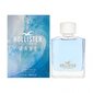 Tualettvesi Hollister Wave EDT meestele 30 ml hind ja info | Meeste parfüümid | kaup24.ee