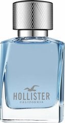 Hollister Wave For Him EDT 30ml цена и информация | Мужские духи | kaup24.ee