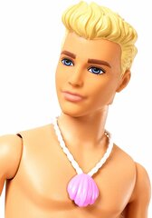 Ken Barbie merineitsi Dreamtopia, FXT23 цена и информация | MUST Металлическая бутылочка с Ярким рисунком (без BPA) (500ml) для мальчиков от 3+ лет Серая с Машинкой | kaup24.ee