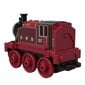 Auruvedur Thomas & Friends (Tom ja sõbrad) Trackmaster, GCK93 цена и информация | Poiste mänguasjad | kaup24.ee