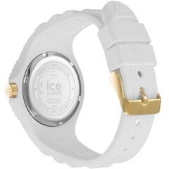 Ice Watch 019140 019140 цена и информация | Женские часы | kaup24.ee