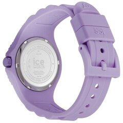 Käekell naistele Ice-Watch 019147 цена и информация | Женские часы | kaup24.ee