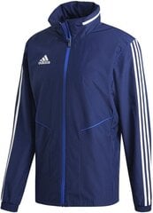 Dressipluus meestele Adidas, sinine цена и информация | Мужские толстовки | kaup24.ee